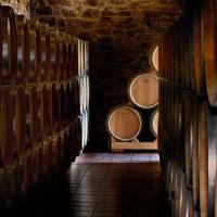 La Maragata Godello 2019- vino blancode guarda - Bodegas Pittacum - details 2