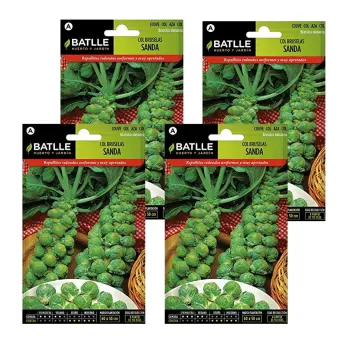 Graines De Chou Chinois Pet-Sai Vert – Semences Batlle – Variété Précoce, Feuilles Tendres Et Savoureuses