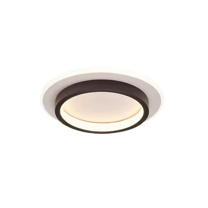 Lámpara De Techo Moderna Y Sencilla LED Decorativa Nórdica Luces De Interior Para Sala De Estar Dormitorio Pasillo Material Metálico Y Acrílico - 1