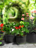 Macetas De Tela Para Plantas Respirables De 3/5/7/10 Gallones Bolsas De Cultivo Para Tomates Fresas Patatas Jardinería - details 5