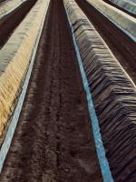Plástico para la Agricultura y Obra - Rollos de Plástico Protector Cubretodo | 400 Galgas - 4 x 50 m (200 m²) Thayba - details 0