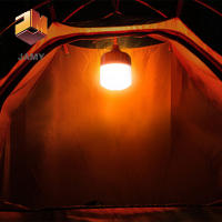 Lámpara LED Recargable USB 100W Para Exteriores Linterna Portátil De Emergencia Con Gancho Para Camping Y Pesca Luz Nocturna LT082 - details 0