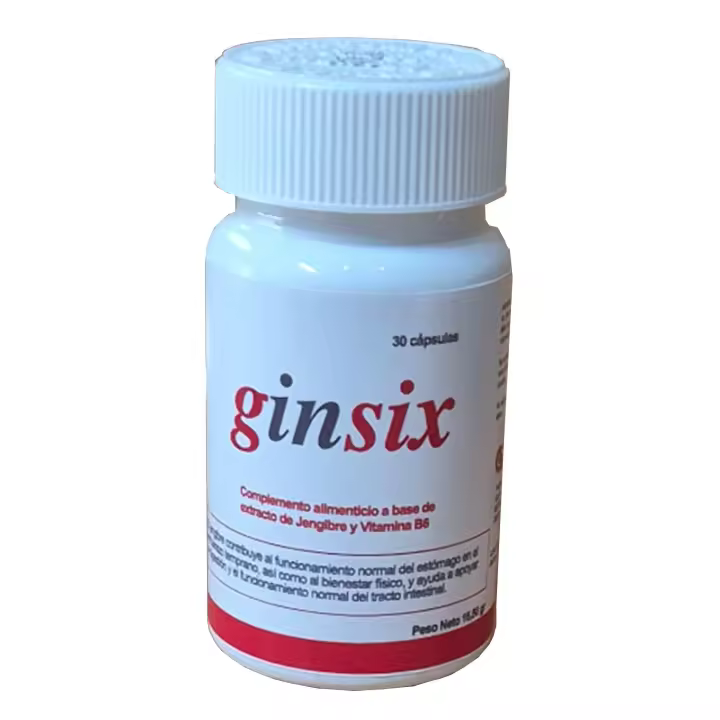 Ginsix – Complemento alimenticio con jengibre y vitamina B6 - 1