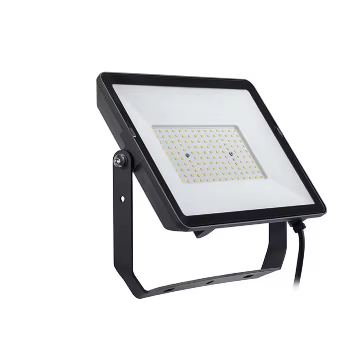 Philips Proyector LED Negro 100W - Alta Potencia - 1