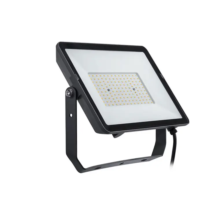 Philips Proyector LED Negro 100W - Alta Potencia - 1