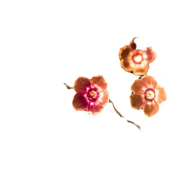 Luces de cerezo en flor de color rosa de 13 pies y 40 LED que funcionan con USB y batería, luces decorativas para dormitorio de niñas, interior y exterior, bodas - 1