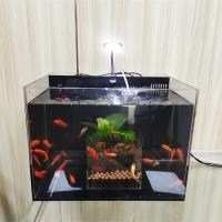 Sistema De Filtro Para Acuario De Acrílico Transparente UGF Bajo Grava Caja De Crustáceos Y Reproducción De Plantas - details 7