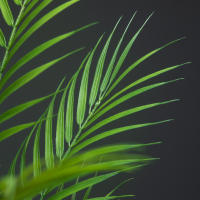 Planta Artificial De Palma Grande 88cm Con Hojas De Monstera Y Pino Falso Para Decoración De Jardín Y Fiestas En Casa - details 4