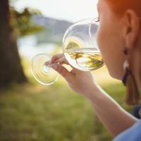 Vino Blanco Vegano Orígens 75cl, Sin Sulfitos Añadidos – Alsina & Sardà 1894 - details 2