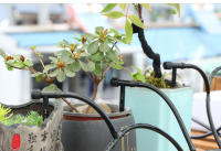Kit De Riego Por Drip Ajustable Para Jardín Y Macetas Con Válvula Negra Ahorro De Agua Microderrame Para Invernadero - details 9