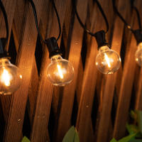 Luces De Cadena LED G40 De Plástico E12 110V US 220V EU Impermeables Y Resistentes Al Choque Para Decoración De Jardín Exterior - details 13