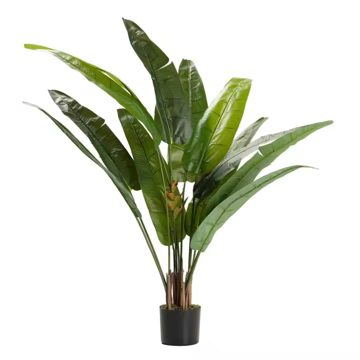 Adda Home Arbol Del Viajero 80x80x140 Cm - Estilo Elegante - Moderno - Sofisticación - 1