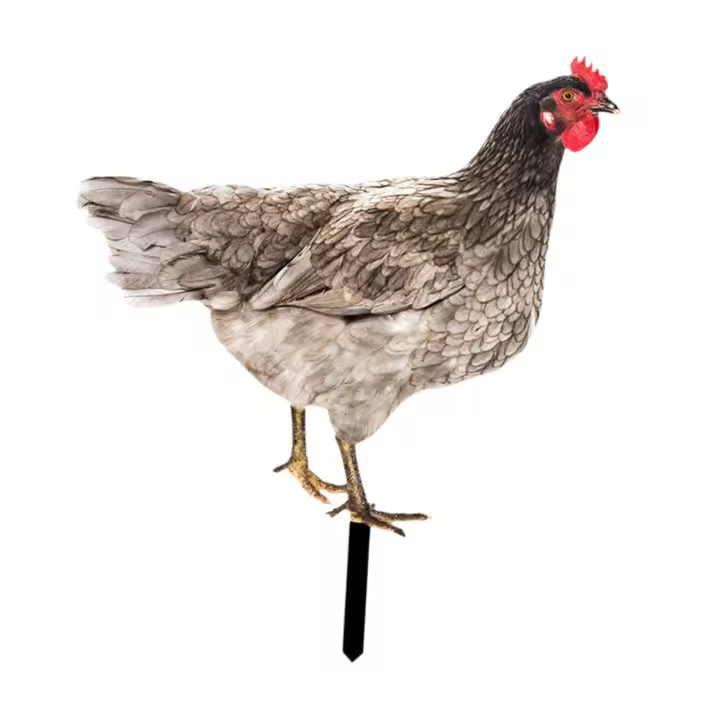 Estatua De Gallo Para Jardín Adorno Ornamental De Patoio Decorativo Para Patio Camino De Atrás Regalo Para Amante De Año Nuevo Navidad Cumpleaños - 1