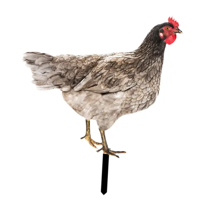 Estatua De Gallo Para Jardín Adorno Ornamental De Patoio Decorativo Para Patio Camino De Atrás Regalo Para Amante De Año Nuevo Navidad Cumpleaños - 1