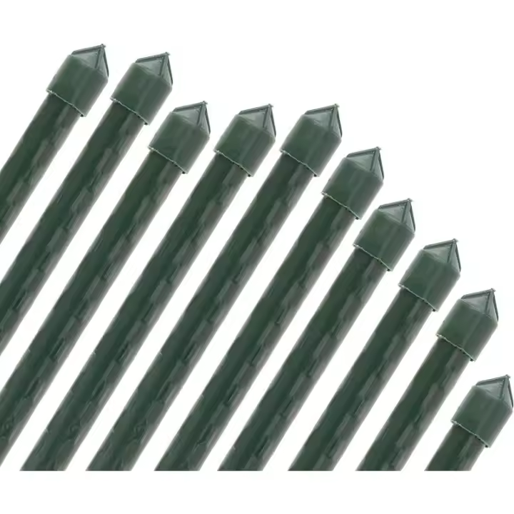 SUINGA Pack 100 Tutor de Bambú plastificado 180 cm (14-16mm), Varillas para Plantas y Árboles, Tutores para Tomates y Plantas trepadora - 1