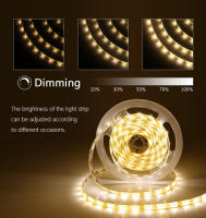Tira De Luces LED Dimmable DC12V Con Control Remoto RF Blanco/Blanco Cálido 2835 Para Iluminación Doméstica Resistente Al Agua - details 3