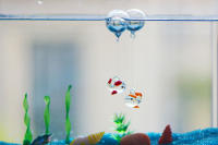 5PCS Decoración De Lagoonería Creativa Con Bola De Ballena Luminosa De Vidrio Para Acuario Decoración De Burbujas Para Micro Paisaje - details 6
