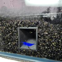 Cueva De Peces Tubo De Pasaje Plástico Para Tanque De Peces/Aquario De Langosta Zona De Juego Y Descanso - details 5