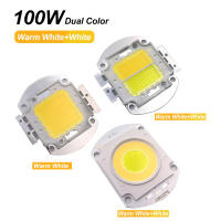 Lámpara LED Integrada 100W De Alta Brillo En Dos Colores Calor Y Blanco Para Faros De Fosa Spot De Escenario - details 0