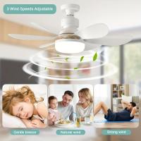Ventilador De Techo 20.5in Con Luz Y Control Remoto 40W Bombilla LED E27 Sin Cable Para Cocina Dormitorio Habitaciones Pequeñas - details 0