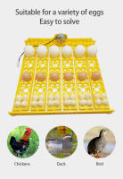 Bandeja De 36 Huevos De Codorniz Incubadora Automática Para Polluelos Patos Aves De Corral Equipo De Incubación De Plástico Bajo Consumo - details 2