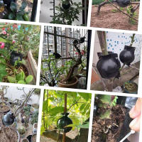 Juego De 6 Bolsas Para Raíces De Plantas S-l Alta Presión Caso De Cría En Jardinería Accesorios De Jardín Caja De Propagación De Plantas - details 6