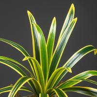 Planta Artificial De Gran Tamaño 60cm Con 18 Hojas De Orchidáceas Para Decoración De Jardín Interior Y Exterior Arbolado Falso Para Hogar Y Exposiciones - details 6