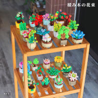 Juego De Bloques De Construcción DIY Para Niños Y Niñas 12PCS Set De Plantas Suculentas Juguete Educativo Para La Creación De Pequeños Bloques Regalo Para Niños Y Niñas - details 2
