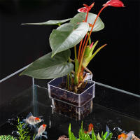 Cesta De Plantación Para Acuario Soporte Hydroponic Colgante Para Maceta De Hierba Acuática Y Flores Pots De Flor En Lámina De Acero Inoxidable Para Tanque De Peces - details 2