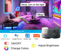 Tiras LED RGB 5050 Con Control WiFi Alexa Y APP Color Cambiante Decoración Navidad Tapa De 10mm Consumo Energía 1.5W/m - details 5