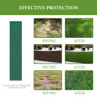 Mata De Semillas De Grama Biodegradable Roll Para Prevenir El Viento Y Consolidar La Tierra Adecuado Para Plantas De Verduras Frutas Y Flores - details 3
