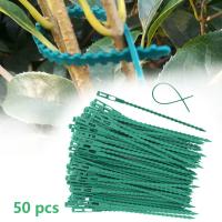 50pcs Amarras De Plástico Ajustables Para Plantas Reutilizables Soporte Para Árboles Y Enredaderas Como Tomates - details 1