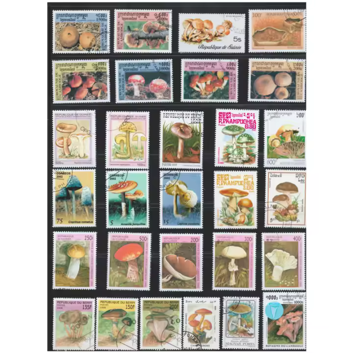 100 PCS/lot Estampillas De Correo Con Marca De Poste Tema Hongos Para Colección Papel De Estampillas De Colección - 1