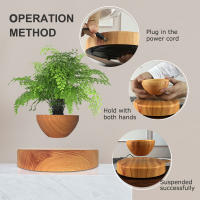 Maceta Flotante Magnética Levitación Para Plantas Sin Tierra Maceta De Rotación Para Decoración Del Hogar Con Diseño De Bonsái - details 12
