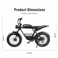 Samebike M20-III M20-II 1000W * 2 motores Dobles 2000W 48V 32ah velocidad Máxima 60 km/h neumáticos de 20 pulgadas duración 220km Pantalla LCD de Bicicleta Eléctrica - details 16