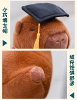 Muñeco De Peluche Capybara Con Disfraz De Graduado Regalo Commemorative Para Estudiantes Con Sombrero Doctoral Juguete De Algodón PP - details 13