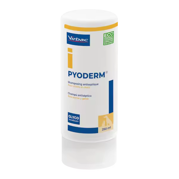Champú Pyoderm 250 ml - 1