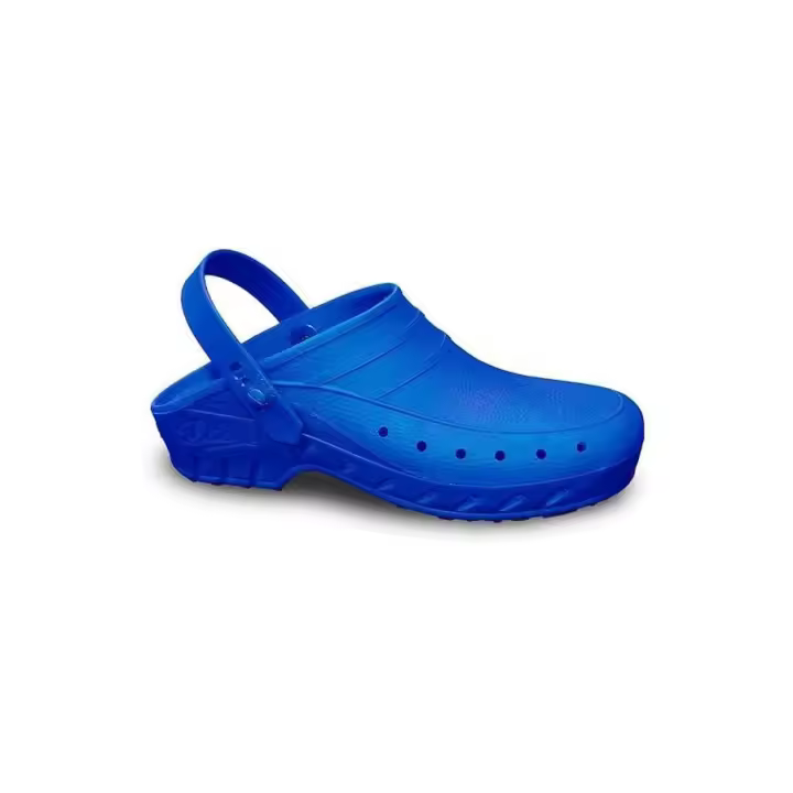 Raíz Zapatos online Mujer Primavera - Verano Calzado Sanitario Por temporada Por tipo Inicio ZUECO DIAN 02-S PERFORADO Azul - 1