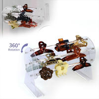 Organizador De Cabello 360 Grados Rotativo Clip De Acrílico Porta Pinzas Y Diademas Ecológico Soporte De Almacenamiento Y Exhibición - details 4