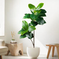 Falsa Hoja De Magnolia Y Ficus 105cm Para Decoración De Jardín Patio Interior Oficina Hoja De Figura Artificial De 41.3 Pulgadas - details 3