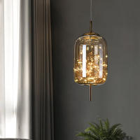 Lámpara Colgante LED Moderna De Vidrio Iluminación De Techo Fijación Por Cuerda Decoración De Dormitorio Luminaire Chandeliers - details 13