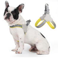 Harnés Veraniego Para Perros Y Gatos Pequeños Y Medianos Con Correa De Pecho Transpirable Sin Pull Para Viajes Y Caminatas Adecuado Para Franceses Bulldog Accesorios Para Mascotas - details 10