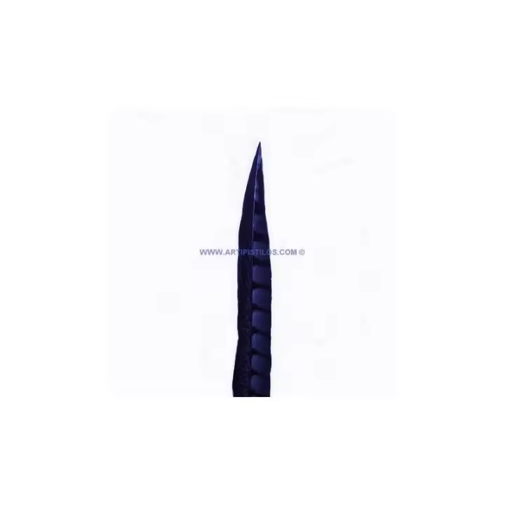 Pluma de Faisán Lady Amherst 55-60 Cm - Varios Colores - 1