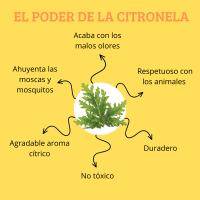 Ambientador Lavanya Citronela y Eliminador de Olores para el Hogar - 750 Ml - details 1