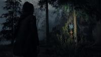 Alan Wake 2 Deluxe Edition - Playstation 5 - Nuevo Precintado - PAL España - Meridiem - details 0