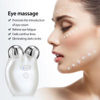 Rodillo de Lifting Facial EMS, masajeador Facial de microcorriente, antiarrugas, antienvejecimiento, dispositivo para el cuidado de la piel - details 2