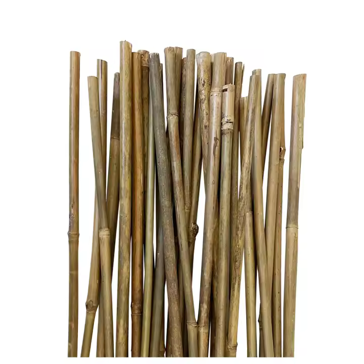 Acomoda Textil - Tutores de Bambú para Agricultura y Jardinería Resistentes. Pack 30 Varillas de Bambú Estables y Robustas. Caña de Bambú para Plantas, Árboles y Hortalizas. (90 cm, Diámetro 6/9 mm) - 1