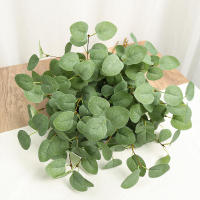 Rama Artificial De Eucalipto 60cm Hojas De Dólar Plateado Verdes Para Decoración De Casas Y Bodas Planta Falsa De Seda Sin Químicos Proveniente De Zhejiang China - details 1