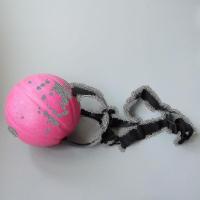 Expositor de comparación con Garra para Pelotas de rugby, FÚTBOL y Baloncesto - details 2
