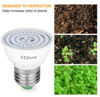 Lámpara De Crecimiento Para Plantas LED E27 Espectro Completo Foco Para Cultivo En Invernadero Y Tentación Hidroponía Con Varias Quantidades De LEDs 48/60/80/126/200/300 - details 13